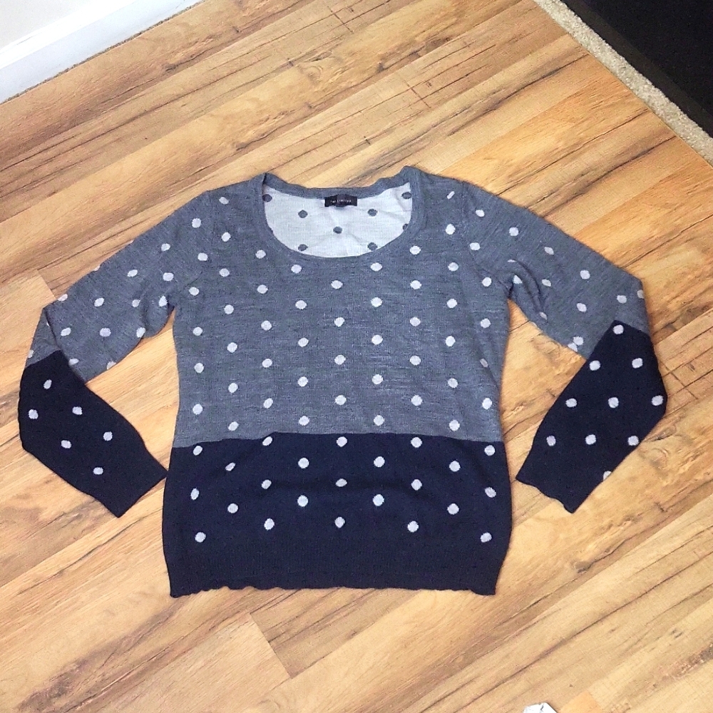 THE LIMITED Blue Gray Wool Blend Polka Dot Color Block Scoop Neck Sweater
